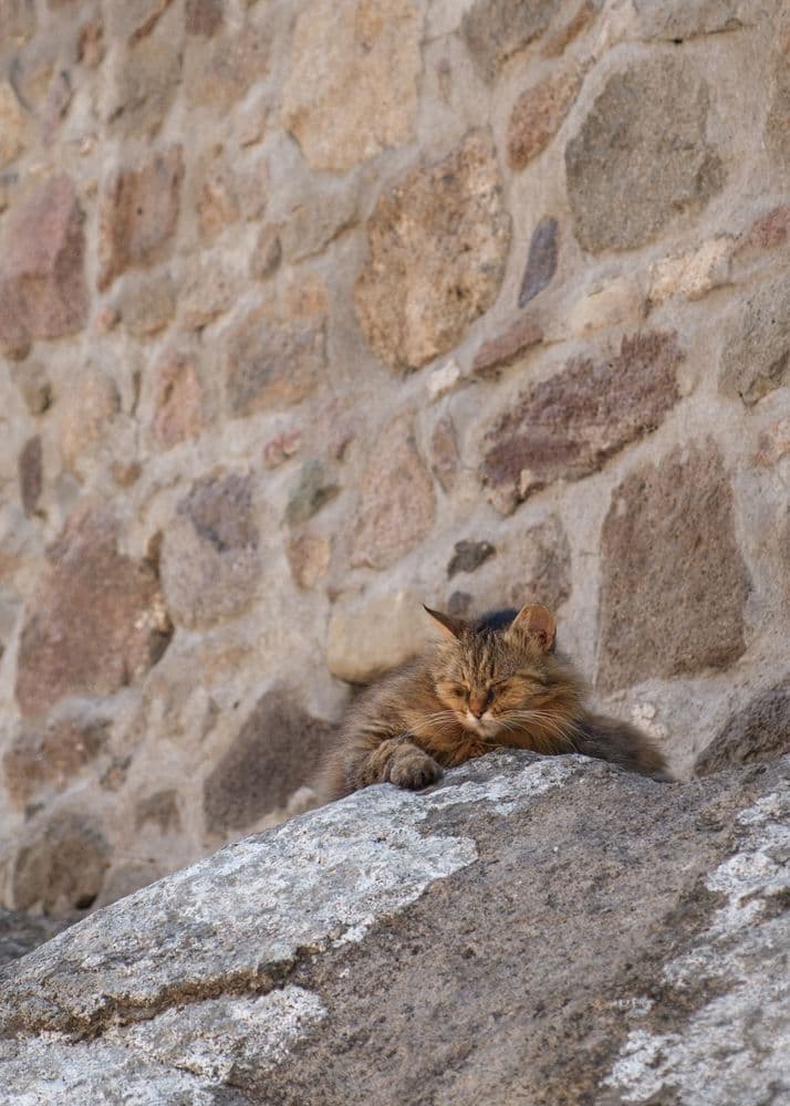 2 index gallery